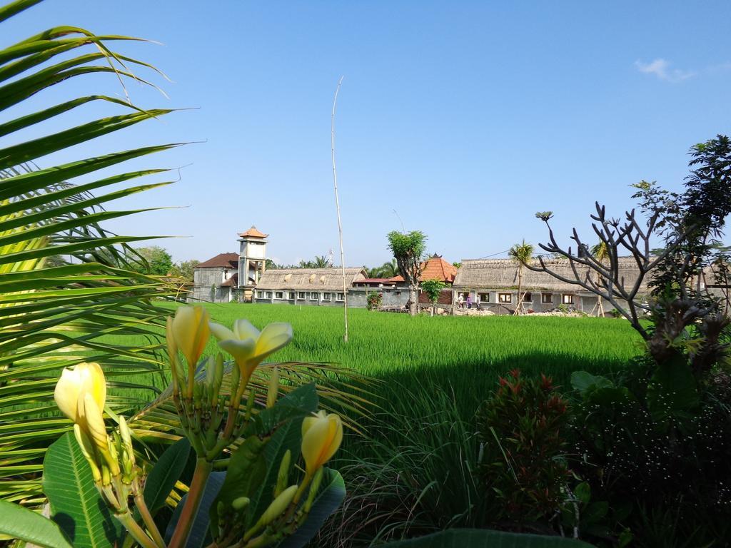 Bening Bungalow Ουμπούντ Εξωτερικό φωτογραφία