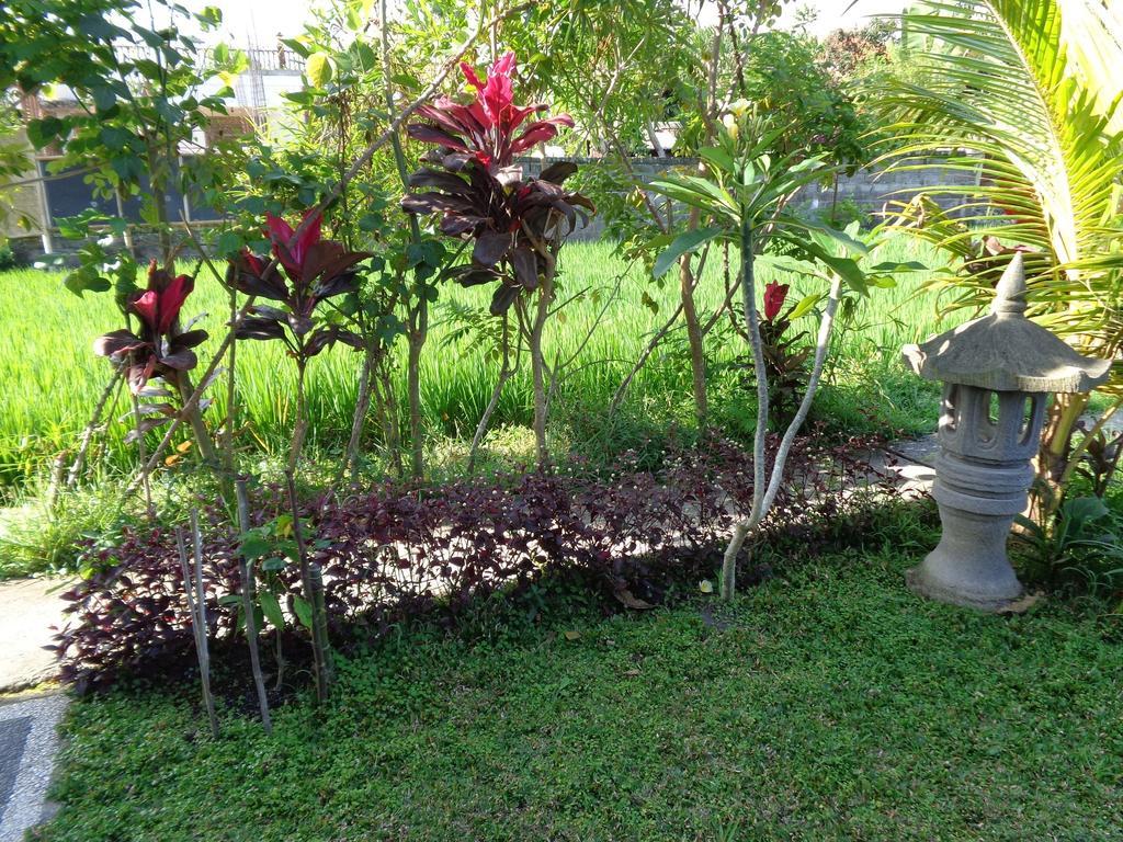 Bening Bungalow Ουμπούντ Εξωτερικό φωτογραφία
